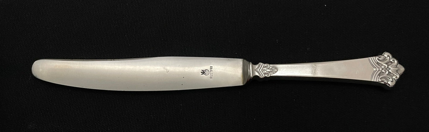 ANITRA dining knife older model 21,0cm