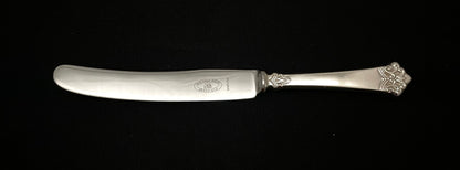 ANITRA dining knife older model 21,0cm