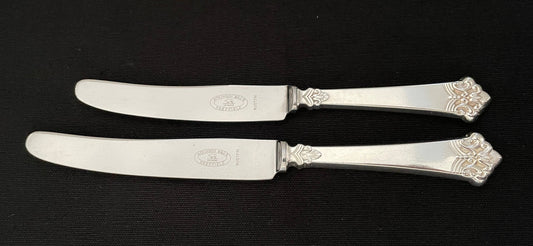 ANITRA large dining knife older model 24,5cm